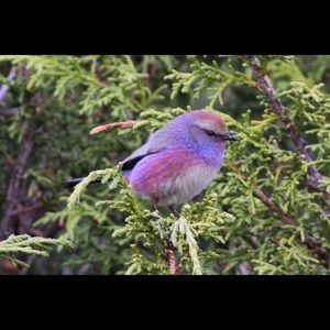 Meet your Posher, Katherine